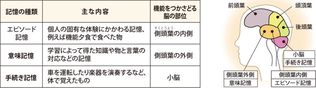 記憶の分類